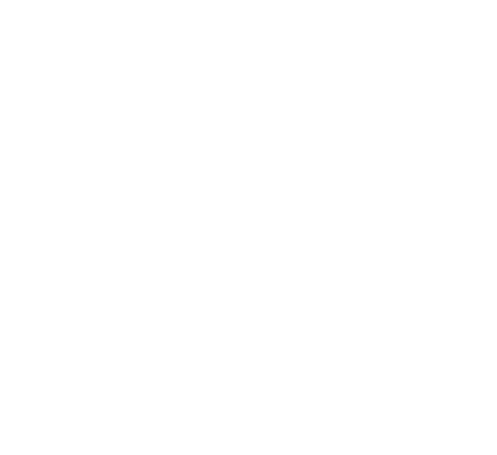 Nividous logo